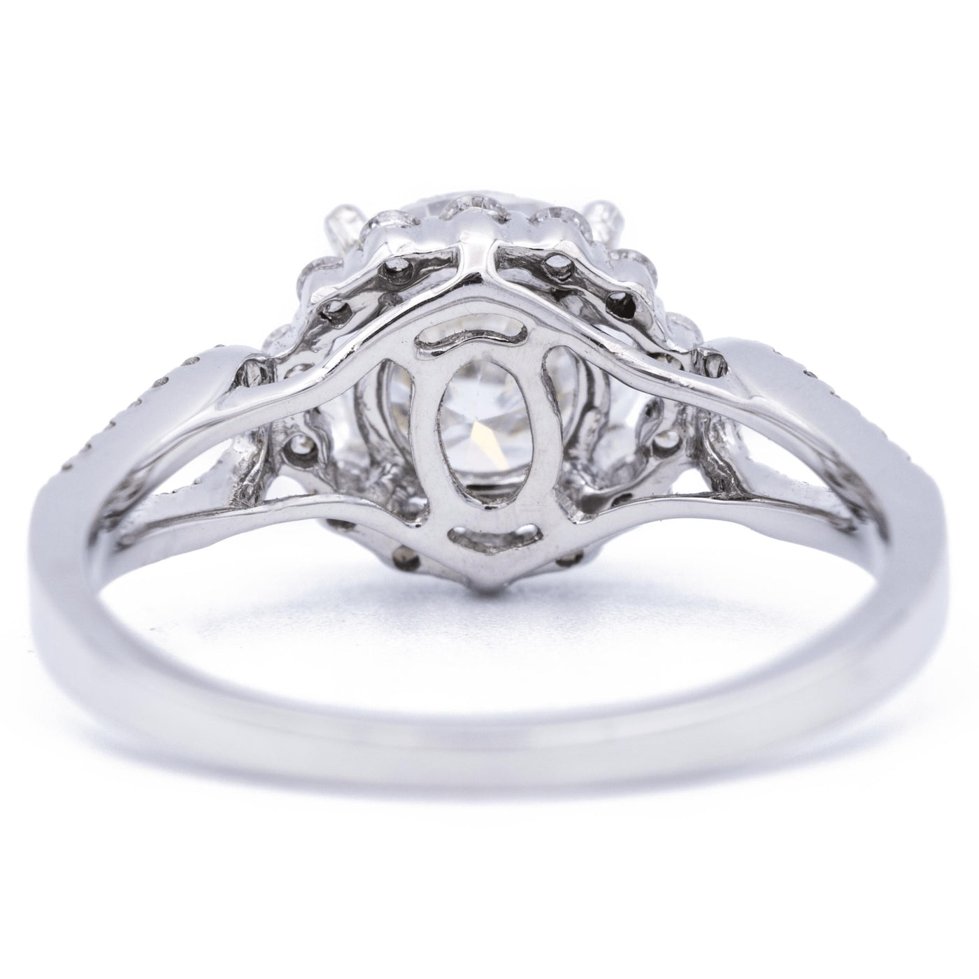 6.5mm Round Moissanite 14K White Gold Halo Ring-Fire & Brilliance ® Creative Designs-Fire & Brilliance ®