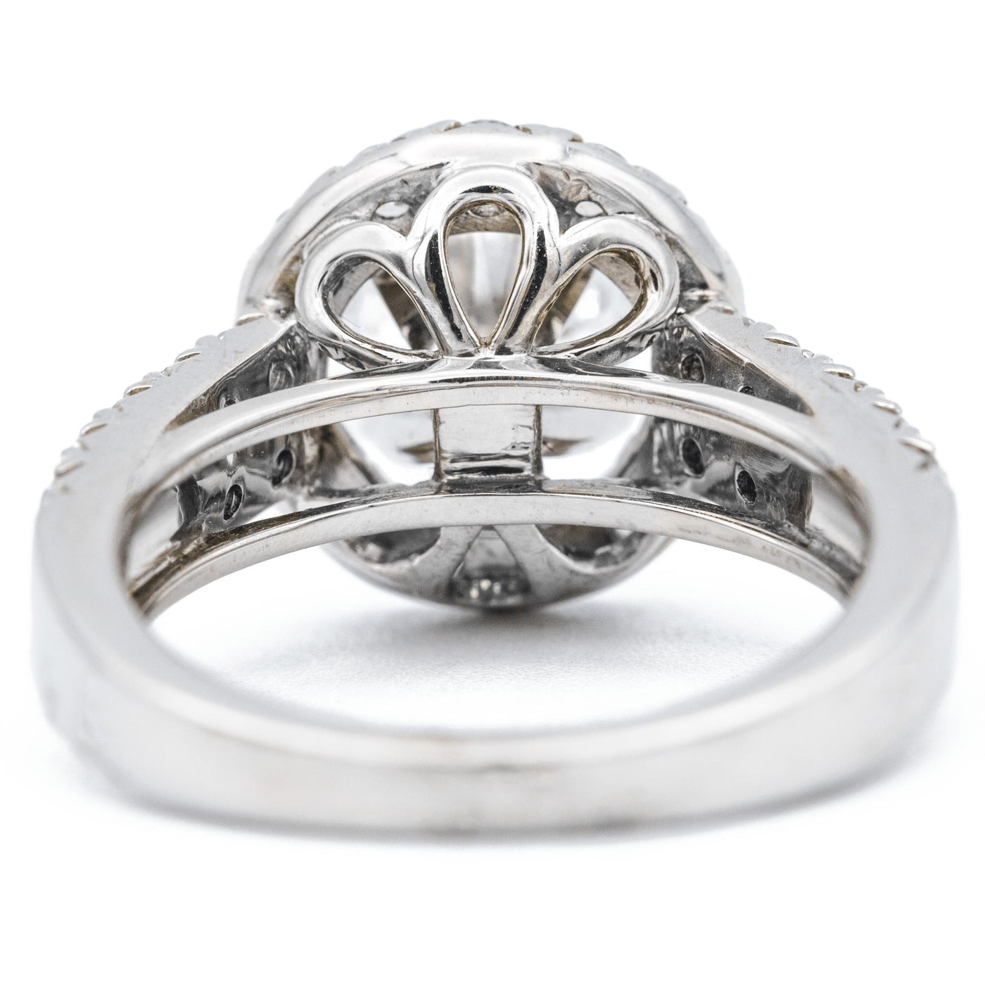 Round Moissanite 14K White Gold Halo Ring-Fire & Brilliance ® Creative Designs-Fire & Brilliance ®